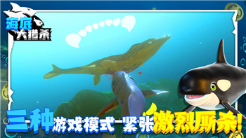 《輻射3》Xbox 360等作更新升級(jí) 微軟Xbox迎20周年！