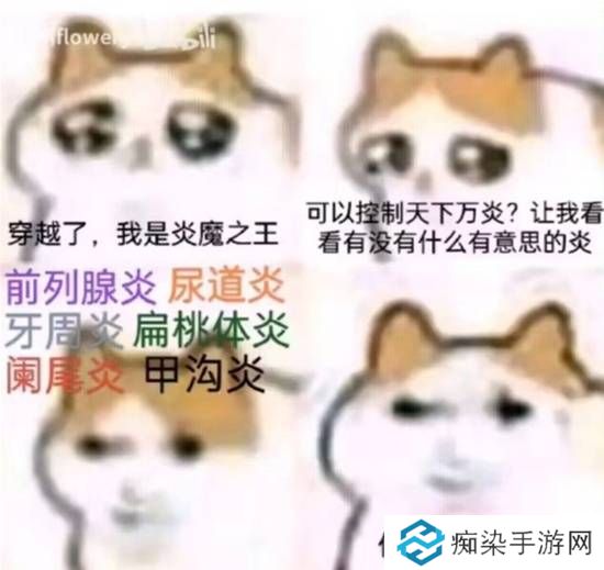 極樂軟件園
